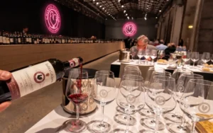Chianti Classico Collection 2020