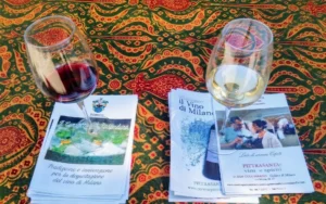 El Vin de Milan