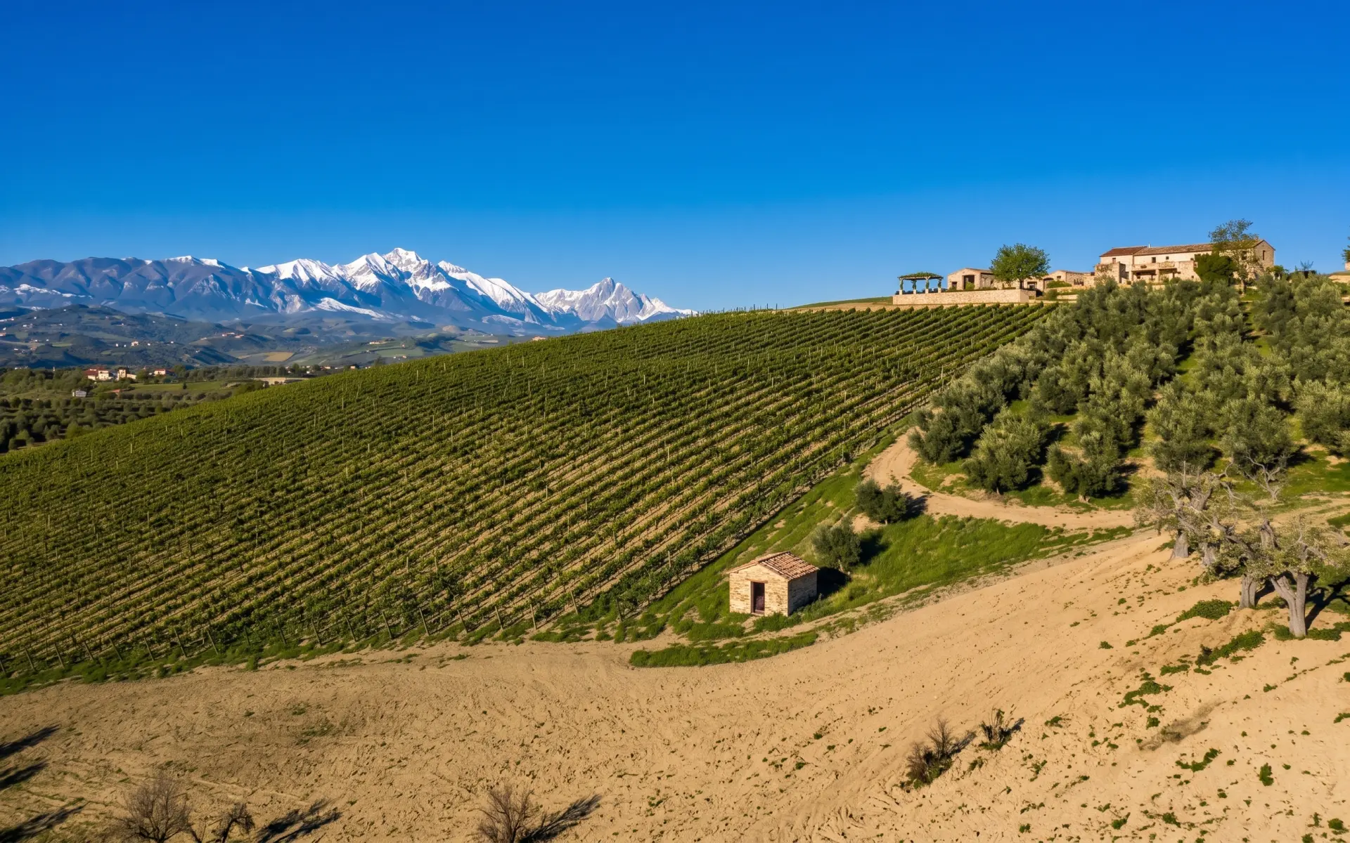Fattoria Gaglierano