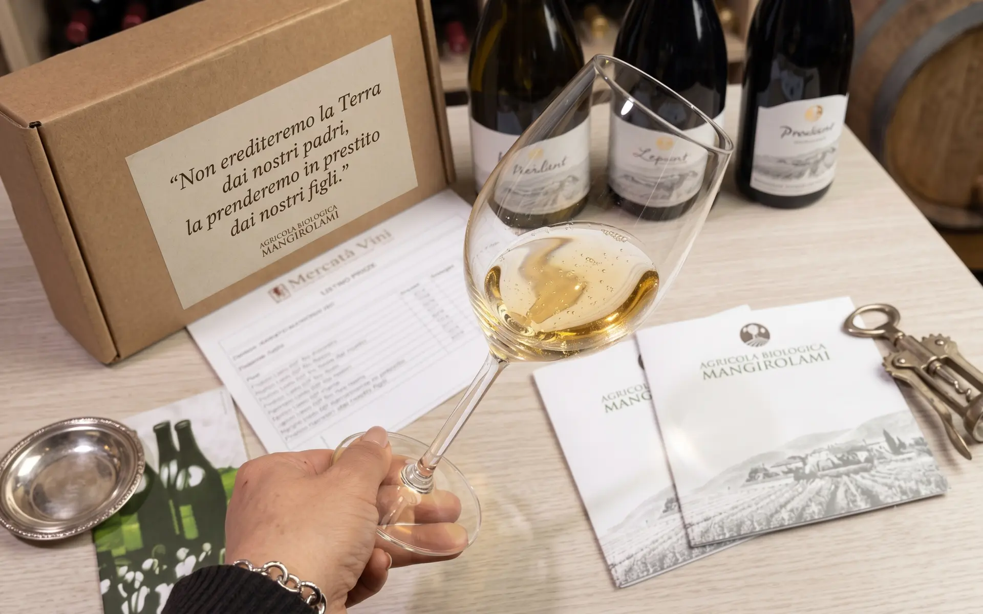 I FIVI wines raccontati da wineloversitaly