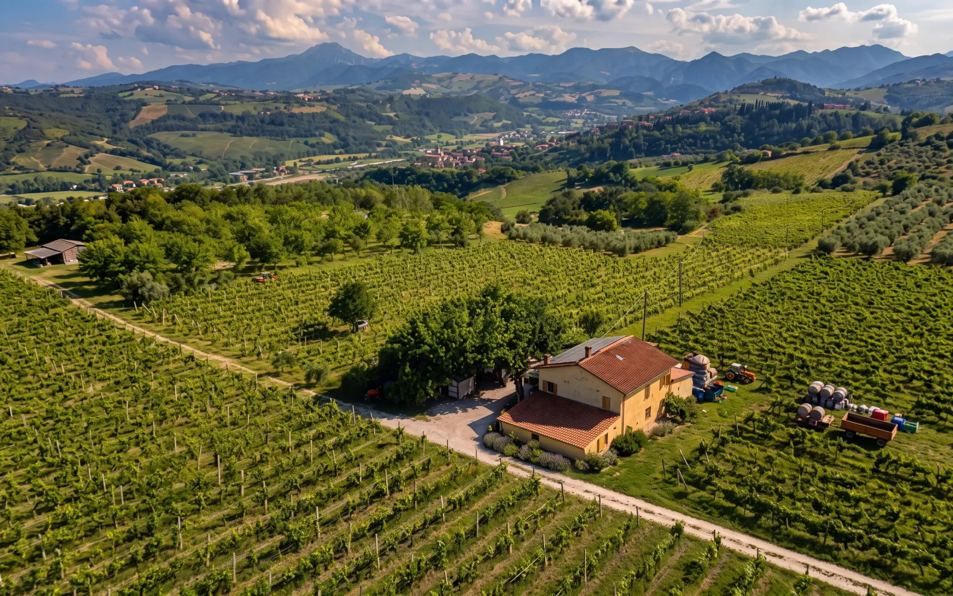 Il Verdicchio dei Castelli di Jesi di Marika Socci