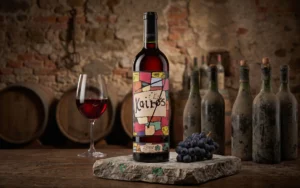 Veneto Rosso IGT 'Kairos' 2016 Zýmē