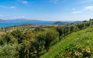 Lugana Stories: Cantina Franzosi