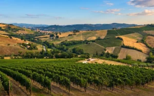 Marche: natura, gusto e tradizione