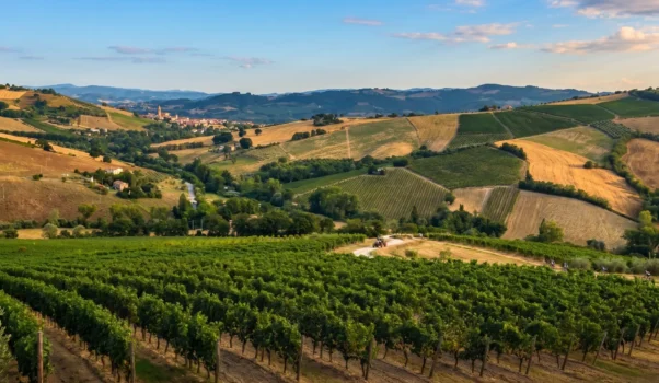 Marche: natura, gusto e tradizione