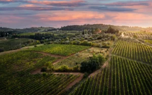 Podere dell'Anselmo