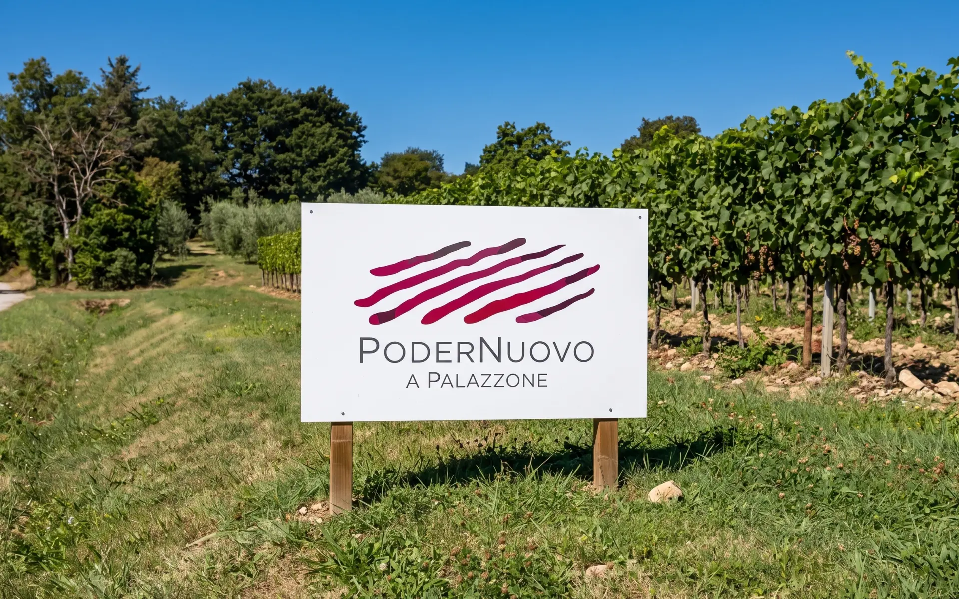 PoderNuovo a Palazzone