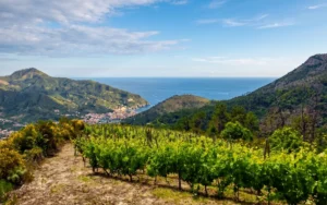 Terre di Levanto
