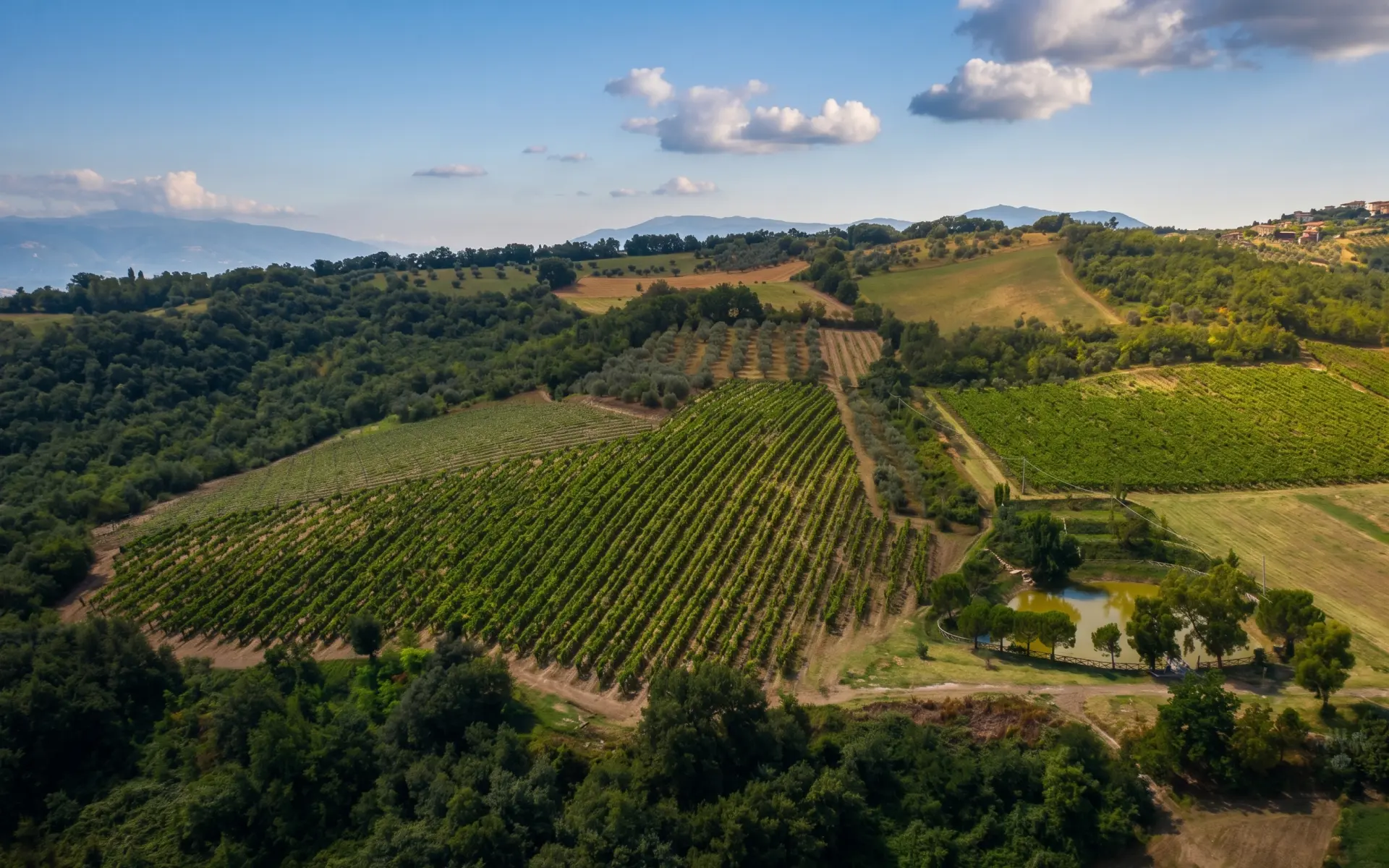 Una piacevole scoperta a Cantine e Cortili: Azienda Rosarubra