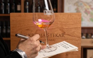 Vini di Vignaioli 2016