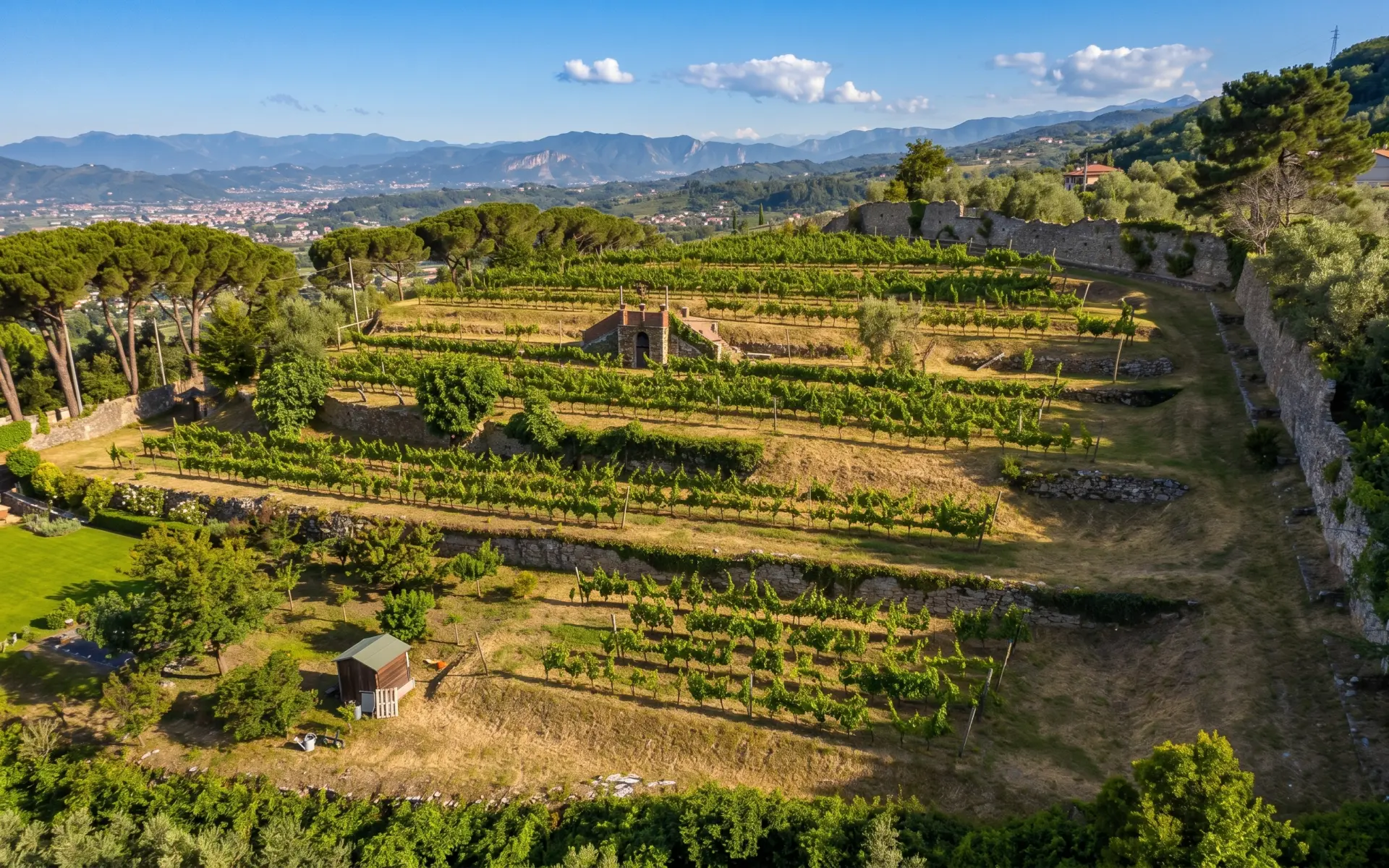 Visita alla Cantina Giacomelli