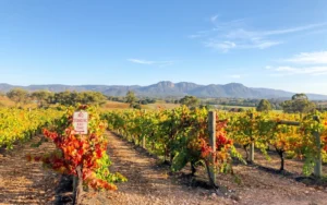 Yarra Valley