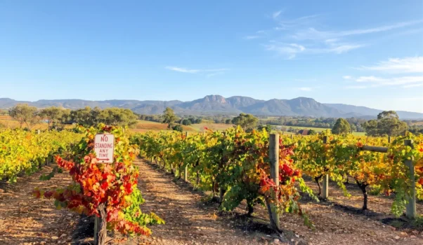Yarra Valley
