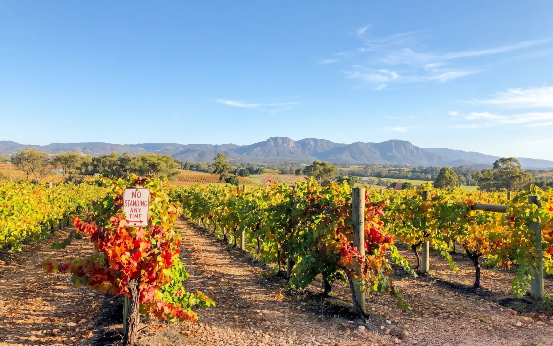 Yarra Valley