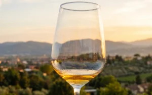 Cantina Linero